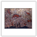 Cacciatori primitivi - non disponibile Carmine Mastronicola, www.carminemastronicola.com